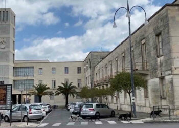 Randagismo a Ragusa: non facciamo bella figura