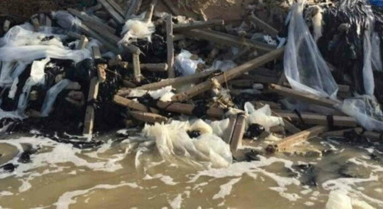 Sequestro spiaggia Marina di Acate, Legambiente: la Regione faccia la bonifica