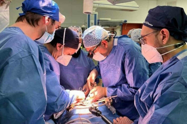 Uterus transplant in Catania: second case in Italy