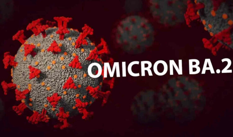 Omicron 2 and Omicron 1 variant: differences, symptoms and vaccine