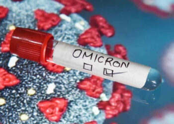 Variante Omicron infetta e si moltiplica: incognita uomo-animale-uomo