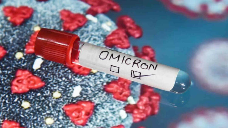 Omicron variant infects and multiplies: man-animal-man unknown