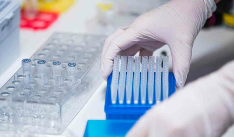 Variante Omicron, studio Danimarca: può essere ultima ondata Covid