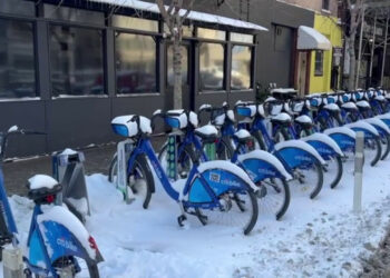 Intensa ondata di freddo negli Stati Uniti, neve e gelo a New York