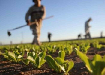 A Modica due progetti di agricoltura sociale