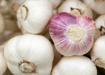 Come abbassare il colesterolo alto con 6 rimedi naturali