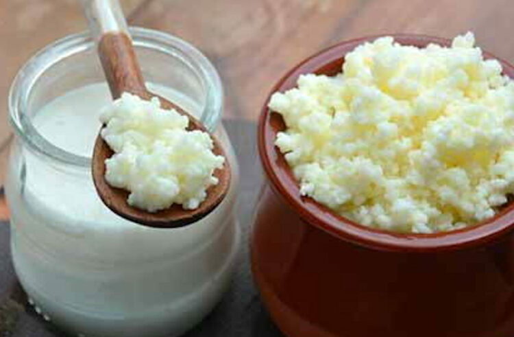 Come preparare il kefir di latte in casa: benefici e ricetta