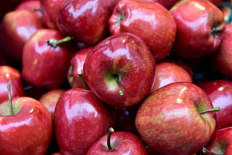 What happens to people who eat apples with high cholesterol?