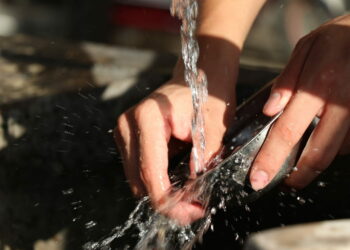 Cucinare e lavare i piatti fa bene alla salute del cuore