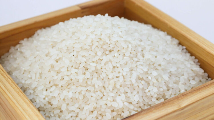 Dieta del riso latto-vegetariana, la fantastica dieta per dimagrire: quanti chili si perdono?