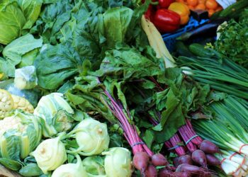 Dieta ricca di fibre e terapia anticancro: ecco gli effetti sul microbiota intestinale