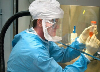 Febbre di Lassa, 3 casi nel Regno Unito: cos'è, sintomi