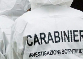 Gemelli di 17 anni accoltellano la sorella mentre dorme: armati di ascia e coltello