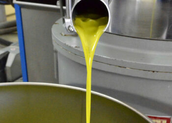 Il Consorzio di tutela Olio Dop Monti Iblei con Dop Monte Etna: insieme per collaborazione