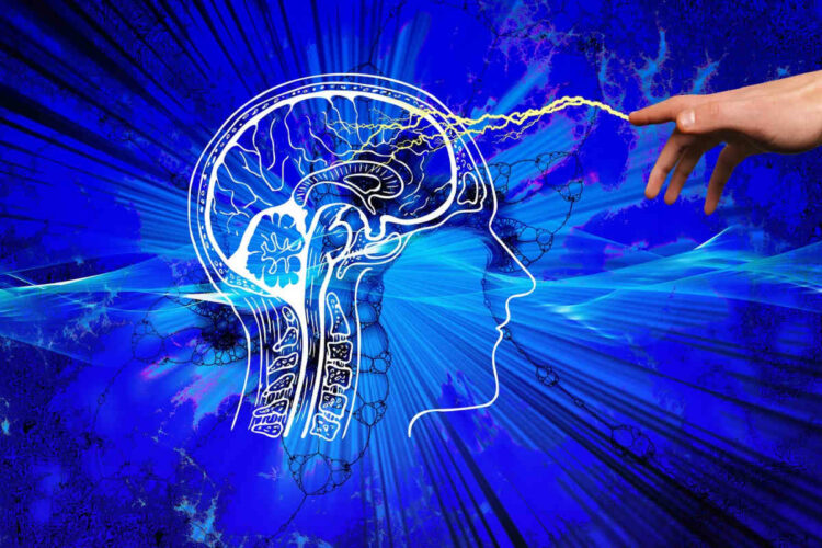 Covid can invade the brain and trigger an Alzheimer's-like neuropathology