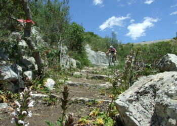 Marathon Parco degli Iblei 2022 annullata: percorsi devastati dagli incendi