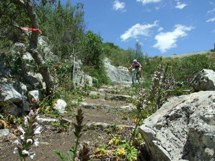 Marathon Parco degli Iblei 2022 annullata: percorsi devastati dagli incendi