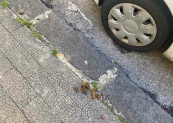 Ragusa, la protesta e le proposte di un cittadino contro le deiezioni canine. Si chiama Roberto La Terra il cittadino ragusano