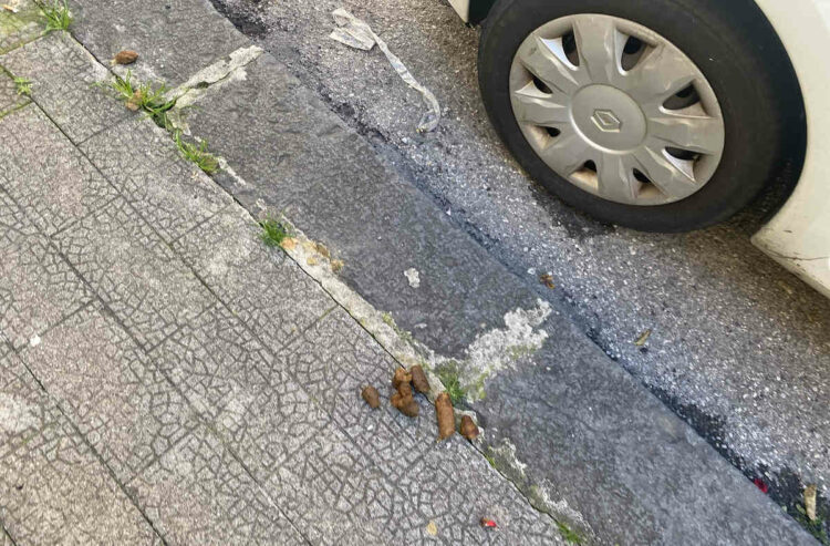 Ragusa, la protesta e le proposte di un cittadino contro le deiezioni canine. Si chiama Roberto La Terra il cittadino ragusano