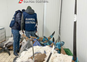 Sequestrate 10 tonnellate di pesce: anche a Ragusa