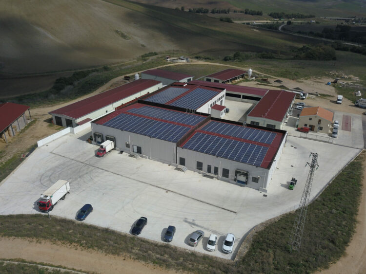 Sicilia, si cercano addetti alla macellazione