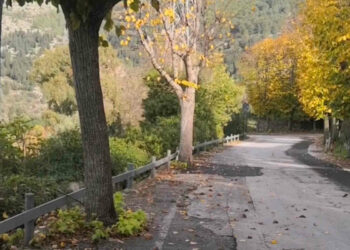 Traffico di passaggio a Ragusa Ibla, situazione che va regolamentata meglio