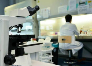 Tumore pancreas e mutazione geni Brca1/2 (resa famosa da Angelina Jolie), no Aifa a farmaco