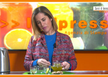 Sorsi di benessere – Moringa e zenzero per una tisana nutriente