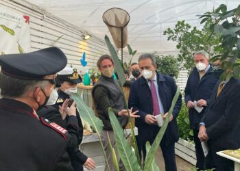 A Marsala aperta la nuova Casa delle Farfalle