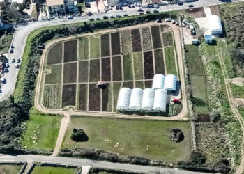 A Ragusa il nuovo mercatino degli orti sociali