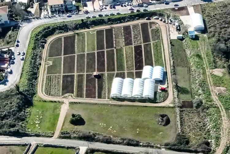 A Ragusa il nuovo mercatino degli orti sociali