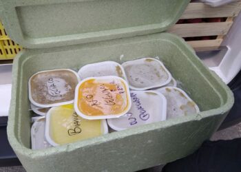 Mensa scolastica Modica: il problema non sta nelle cucine, ma nel menù e nella consumazione dopo ore