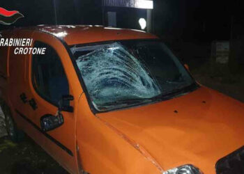 Bambina ucraina investita e morta: denunciato 18enne