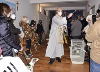 La benedizione degli animali a Ragusa FOTO