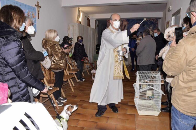 La benedizione degli animali a Ragusa FOTO