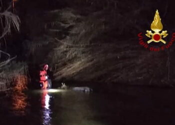 Cade nel fiume Oreto: salvata dai vigili del fuoco VIDEO