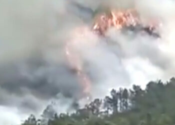 Cade un aereo di linea Boeing 737 di China Eastern con 133 persone a bordo