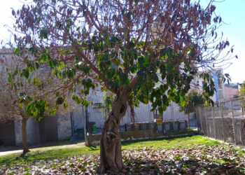 Ragusa Ibla, due segnalazioni di Comibleo