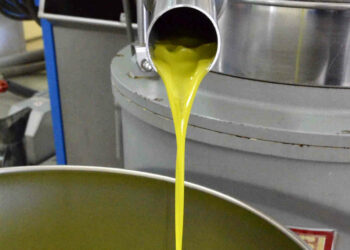 Corso di 35 ore per formare 16 nuovi capi panel