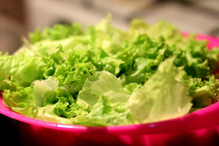 Dieta, insalata per perdere 5 kg: schema facile