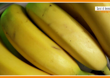 Sorsi di benessere – Un frullato ricco di potassio e vitamina C