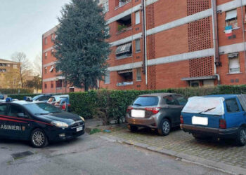 Donna uccisa: figlio arrestato e ricoverato in psichiatria