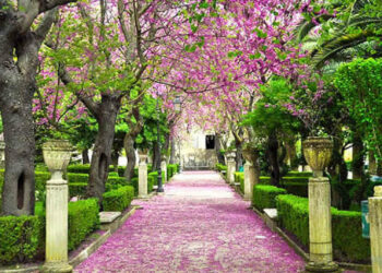 Giardino Ibleo Comibleo controreplica all’assessore Giovanni Iacono