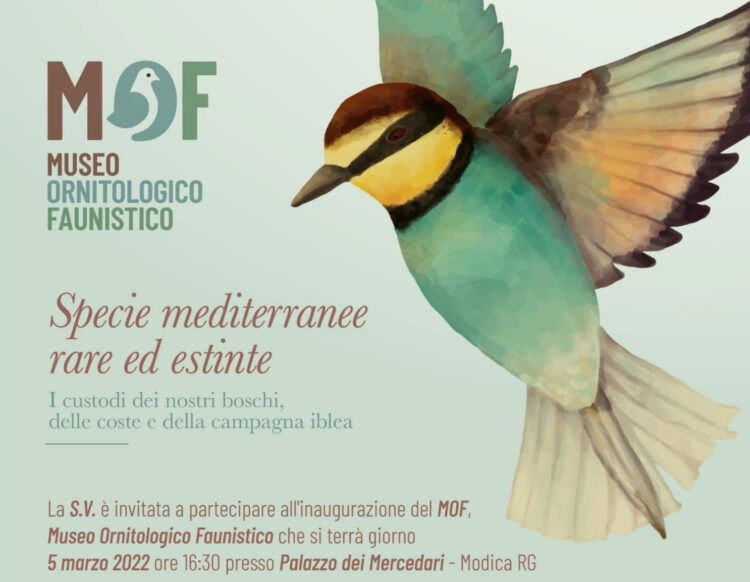 Due nuovi musei aprono sabato 5 marzo a Modica