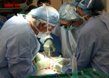 Morto l'uomo che aveva avuto il cuore di un maiale