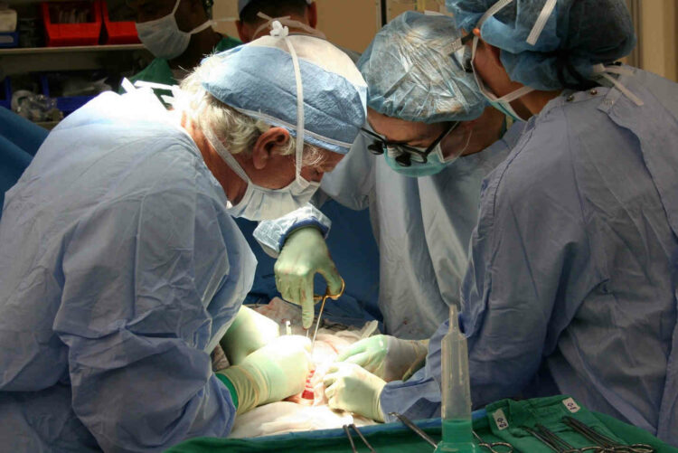Morto l'uomo che aveva avuto il cuore di un maiale