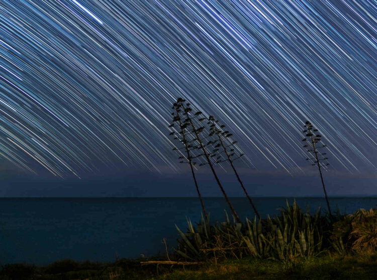 Startrail nel parco di Costa di Carro tra Sampieri e Cava D'Aliga