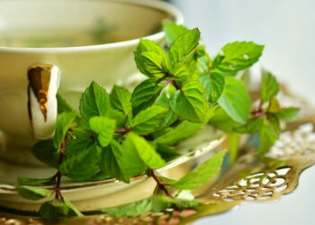Tisana alla menta per dimagrire: ricetta sgonfia pancia