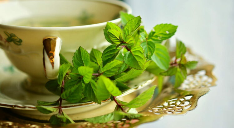 Tisana alla menta per dimagrire: ricetta sgonfia pancia