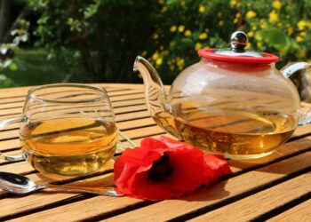 Tisana depurativa fatta in casa: antico rimedio